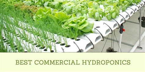 Best Commercial Hydroponics - HydroponicsDaily