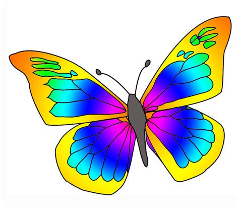 Colorful Butterfly Drawing At Getdrawings Free Download