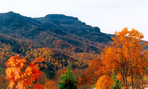 Grandfather Mountain Fall Colors 2024 - Norry Antonina