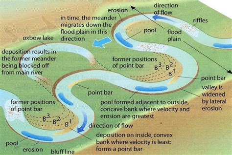 Why Do Streams Meander? | Ausable Freshwater Center