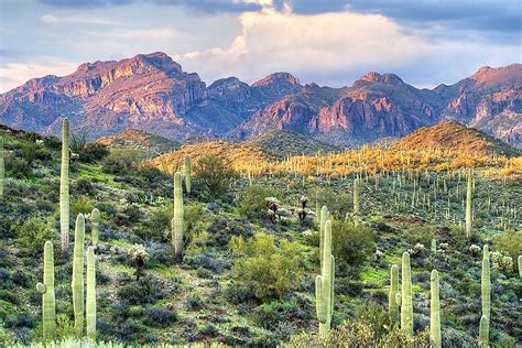 Where Does The Sonoran Desert Lie? - WorldAtlas.com