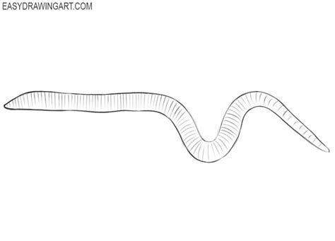 How to Draw a Worm | Easy Drawing Art