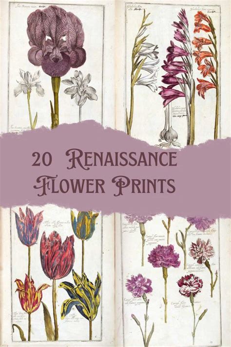 Exploring Renaissance Flowers with 20 Free Theatrum Florae Prints ...