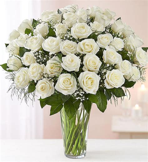 Ultimate Elegance™ Premium Long Stem White Roses | 1800Flowers.com