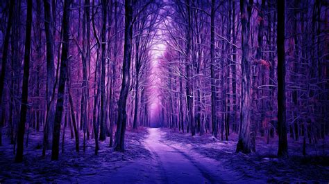 1920x1080 Resolution Purple Winter Forest 1080P Laptop Full HD ...