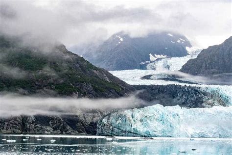 Wild Cam: Even in remote Glacier Bay, humans affect wildlife - The ...