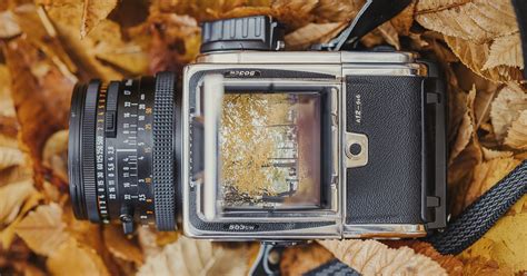 The Best Medium Format Film Cameras to Buy in 2024 | PetaPixel