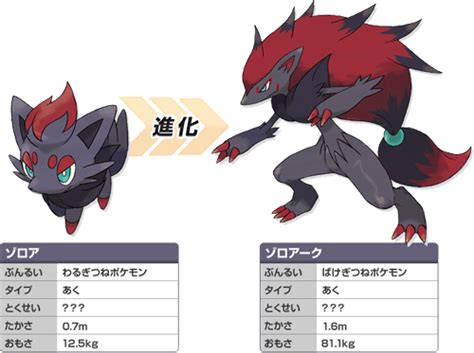 évolution pokémon zorua