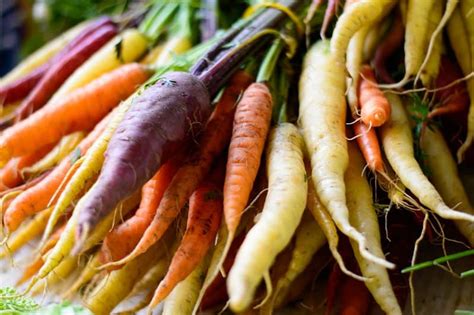 18 Best Carrot Varieties to Grow for a Colorful Harvest