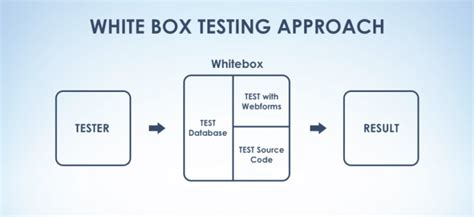 7 Different Types of White Box testing techniques | White box Testing Tools