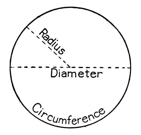 The Diameter Of A Circle Is 14 What Is Radius