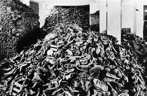 Horrors of Auschwitz: The Numbers Behind WWII's Deadliest Concentration ...