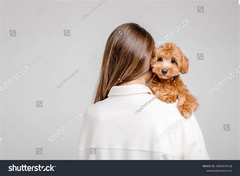 3,011 Poodle Holding Images, Stock Photos & Vectors | Shutterstock