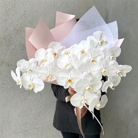 Luxe White Orchids | Gorgeous Flowers Delivered Daily