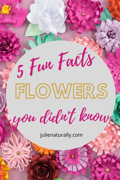 5 Fun Facts About Flowers for Kids Who Love Them - Julie Naturally ...