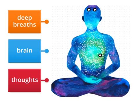 Meditation - Labelled diagram