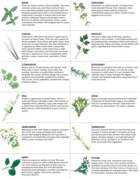 Printable Medicinal Herb Chart