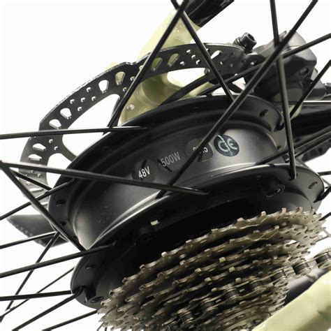 Mountain Electric Bike - Best Electric Bicycle Manufacturer