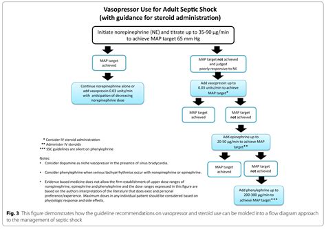 What Is Surviving Sepsis Guidelines 2017