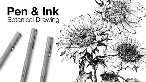 Pen and Ink Botanical Drawing - YouTube