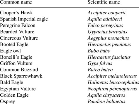 Common and scientific names of the raptor species cited in the text ...