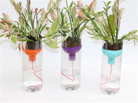 DIY Self Watering Planters With Recycled Bottles