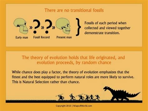 Is The Theory Of Evolution True? - Facts & Infographic