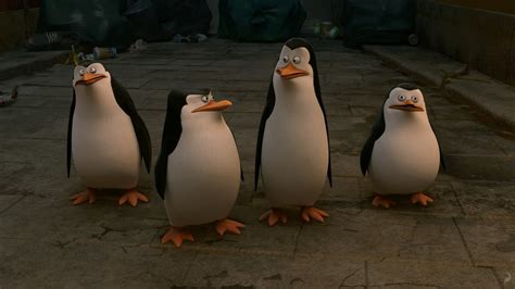 The Penguins of Madagascar Desktop Wallpaper