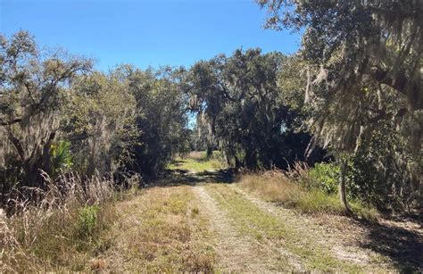 10 Best hikes and trails in Myakka River State Park | AllTrails