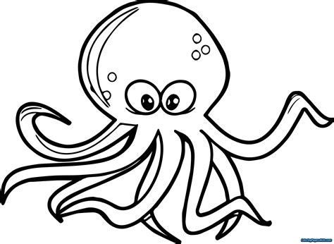 Octopus Drawing For Kids at PaintingValley.com | Explore collection of ...