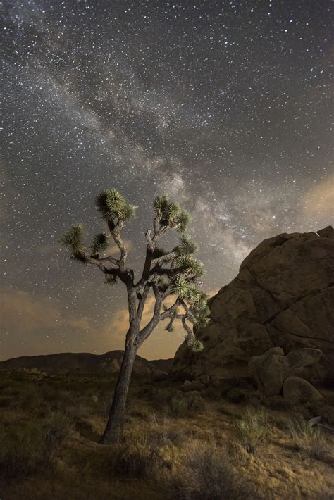 America's Great Outdoors, The night sky over Joshua Tree National Park ...