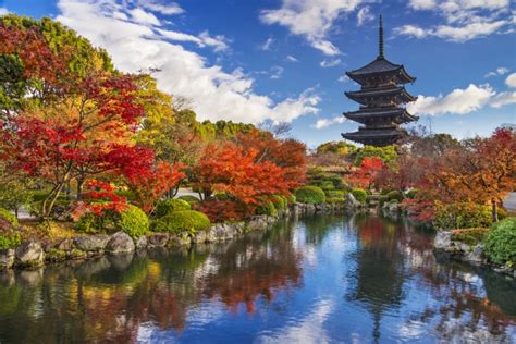 Toji Temple in Kyoto: Travel Guide - Japan Rail Pass