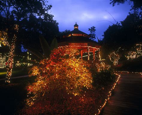 Holiday Garden of Lights at San Diego Botanic Garden in Encinitas ...