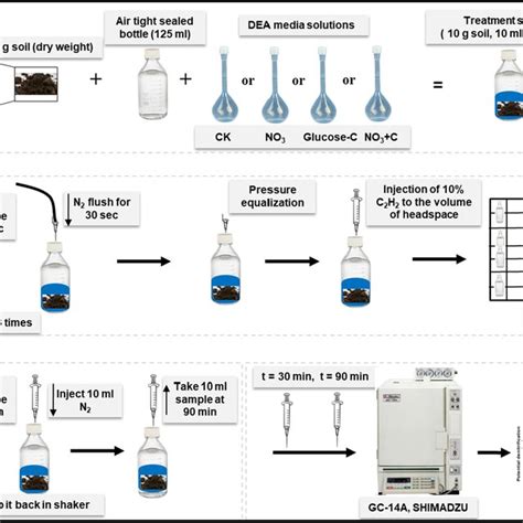 Observed rates of denitrification in three different soil depths ...