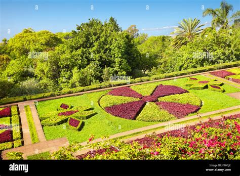 The Madeira Botanical Garden - Funchal, Madeira Island, Portugal Stock ...