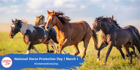 NATIONAL HORSE PROTECTION DAY - March 1 - National Day Calendar