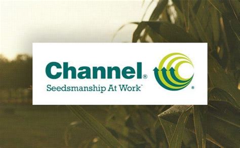 Channel Seed Logo - LogoDix