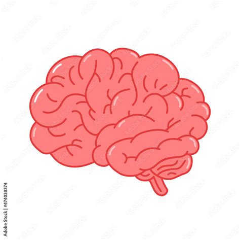 Vector Human Brain Cartoon Isolated Brain Organ Graphic Vector Brain ...