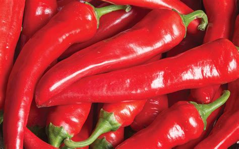 Hottest Pepper Varieties to Try This Year | FCT News