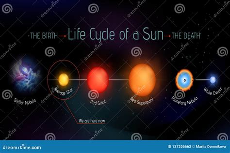 Sun life cycle vector stock vector. Illustration of nebula - 127206663