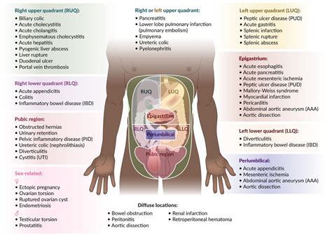 Left Upper Quadrant Pain