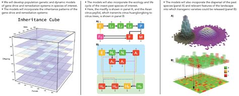 CRISPR-based gene drive architecture for control of agricultural pests ...