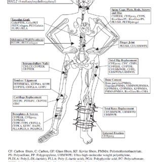 Various applications of different polymer biocomposite materials, [1 ...