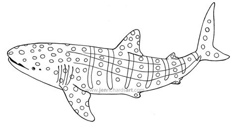 Whale Shark Coloring Page Printable - Franklin Morrison's Coloring Pages