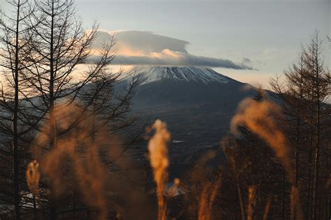 Landscape of Mount Fuji · Free Stock Photo