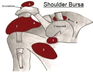 Shoulder Bursitis: Causes, Symptoms & Treatment (2022)