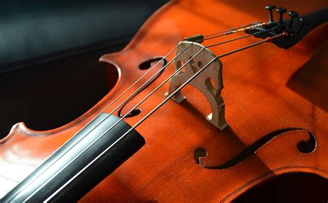 Cello Strings: How to Choose the Right Ones For Your Instrument | NT ...