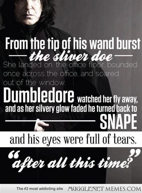 Harry Potter Quotes About Death. QuotesGram