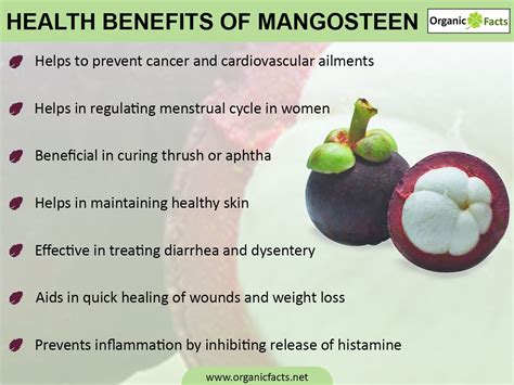 HEALTH BENEFITS OF MANGOSTEEN