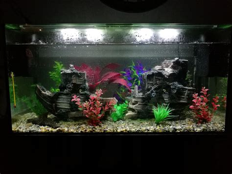 My new 150L sunken pirate ship aquarium | Fish tank, Fish tank themes ...